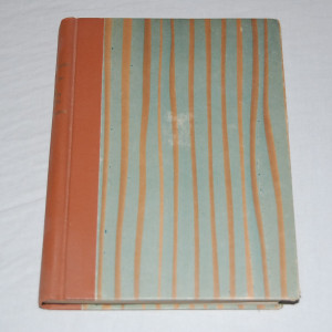 F. M. Dostojevski Narri kartanon valtiaana